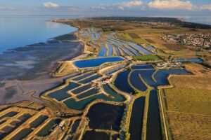 Lire la suite à propos de l’article M LE MONDE – A l’île de Ré, le massacre oublié des troupes de Buckingham